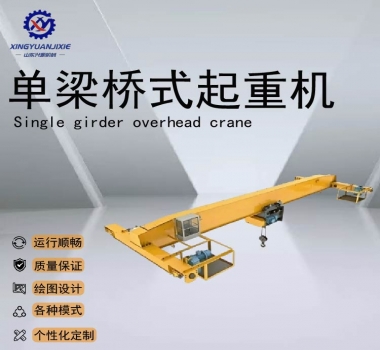 LDY 型冶金電動(dòng)單梁起重機(jī)